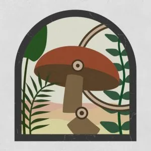 Shape Fold Nature