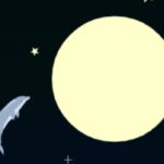 Dolphin Olympics