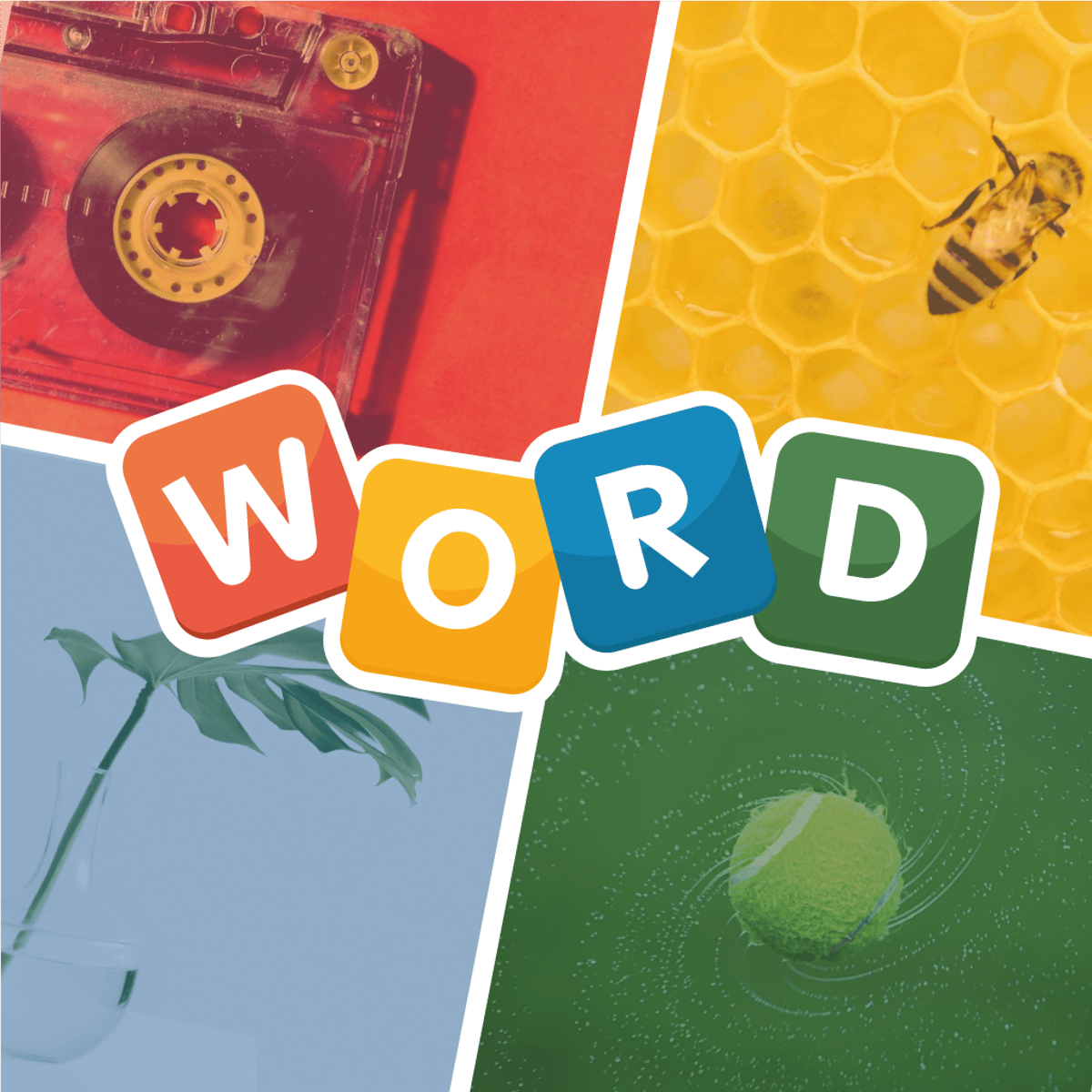 4 Pics 1 Word – Play Online for Free! | Poki